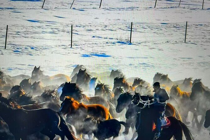 8-Day Tour of Ili, Xinjiang - Day 7: Yining — Market and Cultural Insights