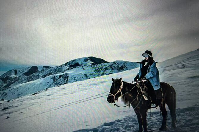 8-Day Tour of Ili, Xinjiang - Day 8: Departure and Reflection