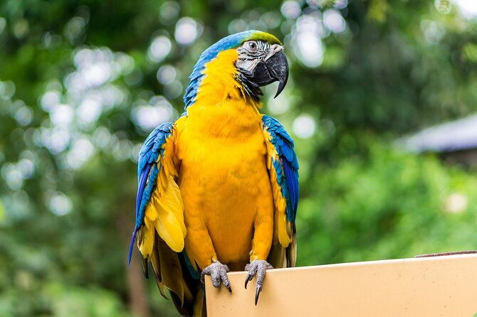 8-day-tour-through-the-mountains-and-amazon-of-ecuador