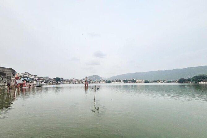 8 Day Udaipur to Chittorgarh Bundi Ranthambore and Jaipur Tour - Final Thoughts