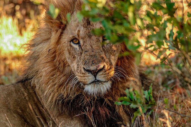 8 Days 7 Nights Kenyan Luxury Safari - Final Thoughts: Who Will Love This Safari?