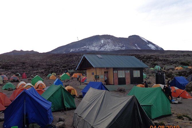 8 Days 7 Nights Kilimanjaro Lemosho Route - Transportation and Logistics