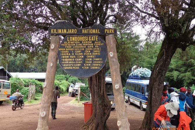 8 Days 7 Nights Kilimanjaro Lemosho Route - Price and Value