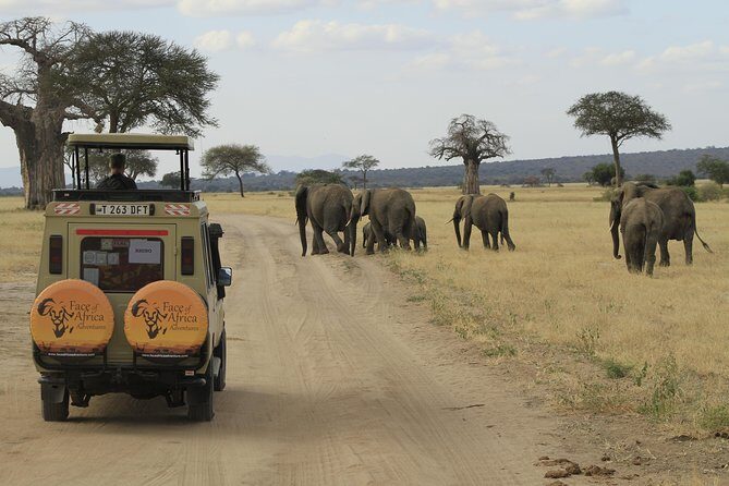 8 Days 7 Nights Private Lodge Safari - Exploring the 8 Days 7 Nights Private Lodge Safari in Tanzania