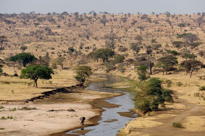 8 Days 7 Nights Tanzania Wildlife & Culture Lodge Safari - FAQ