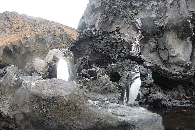 8-days-and-7-nights-private-tour-in-galapagos-islands