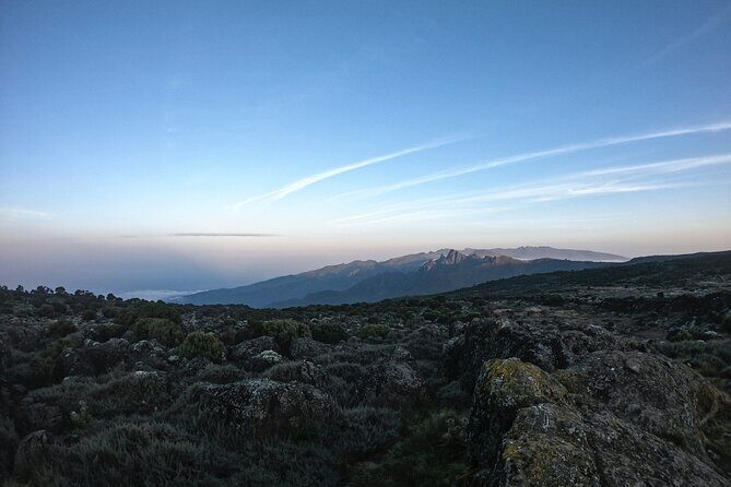 8 Days Climbing Mt.Kilimanjaro (Lemosho Route) - What to Expect from the Itinerary