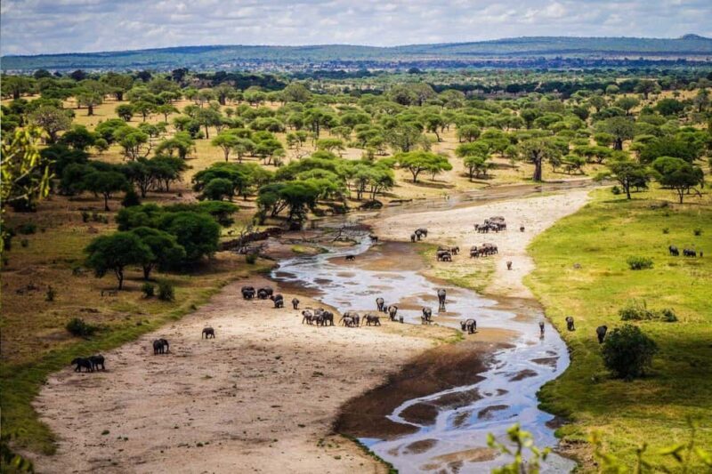 8 Days Comfort Safari+Walking Trip. - Who Is This Safari Best For?