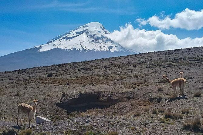 8-days-ecuador-highlands-from-quito