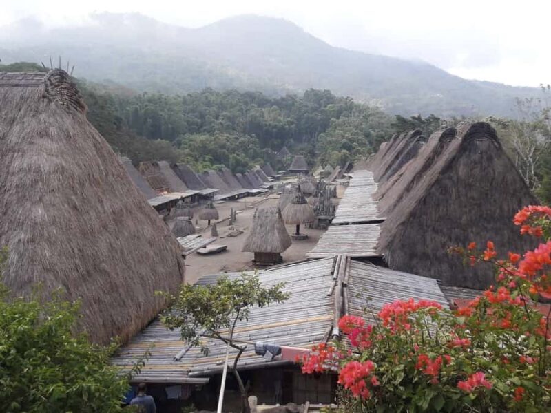 8-Days Explore Flores With English Speaking Driver - The Itinerary in Detail: What to Expect and Why It Matters