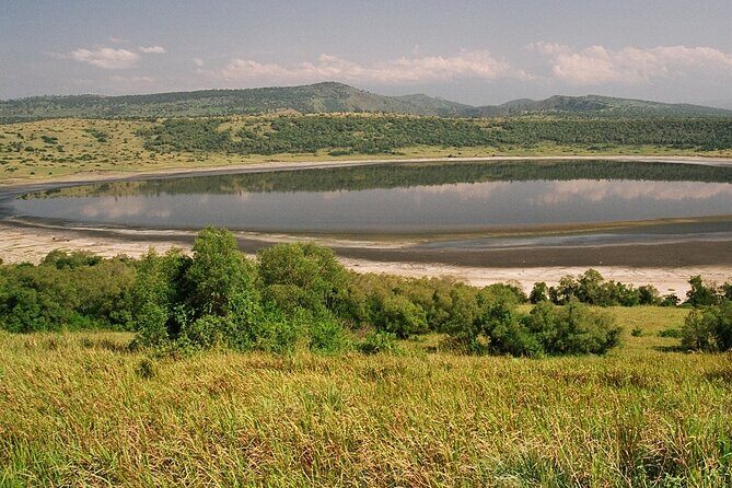 8 Days Gorillas, Primates & Wildlife Safari Uganda Safari - Is This Tour Worth the Price?