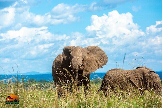 8 Days Gorillas, Primates & Wildlife Safari Uganda Safari - Who Would Love This Experience?