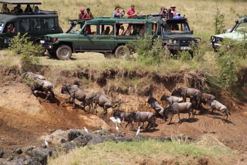 8 Days Great Migration Luxury Safari  Mara River Crossing - Final Words