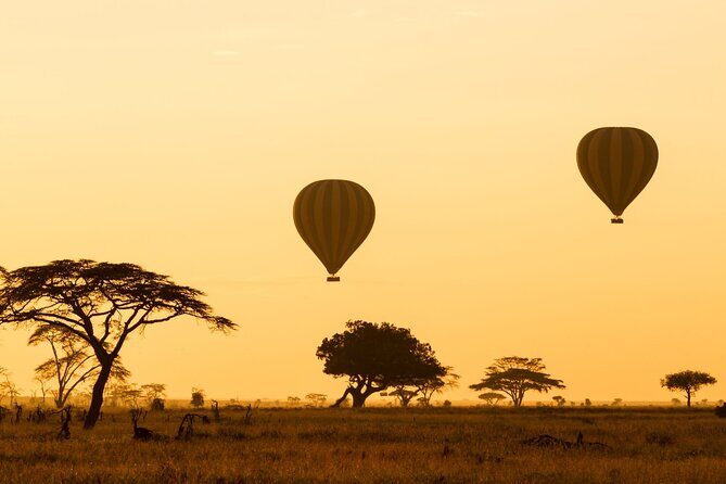 8 Days Green Season Offer - Luxury Serena Safari - The Value of This Safari Experience