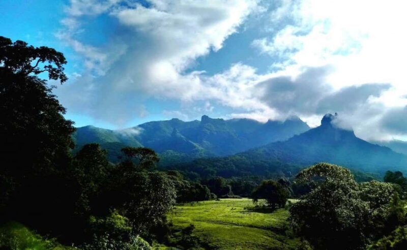 8 Days Harar, bale mountain and Awash safari tour. - The Complete Experience in Ethiopia’s Natural and Cultural Heartland