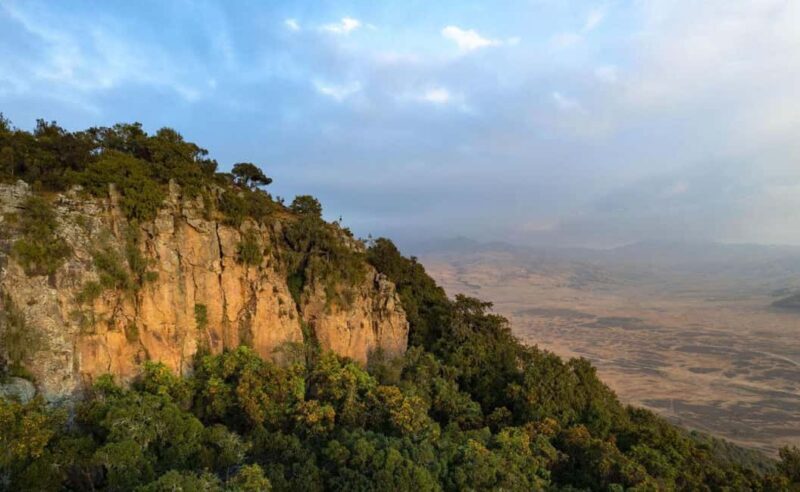 8 Days Harar, bale mountain and Awash safari tour. - Flight to Dire Dawa and Drive to Harar
