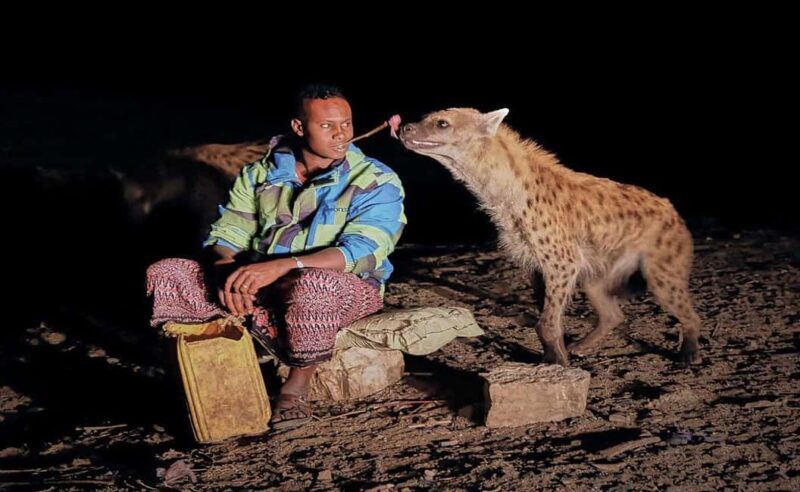 8 Days Harar, bale mountain and Awash safari tour. - Heading into the Bale Mountains