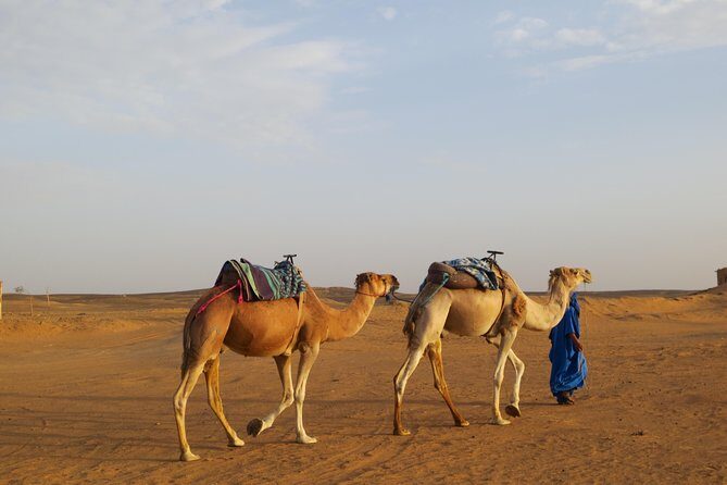 8 Days Imperial Cities - An In-Depth Look at the 8-Day Imperial Cities Tour