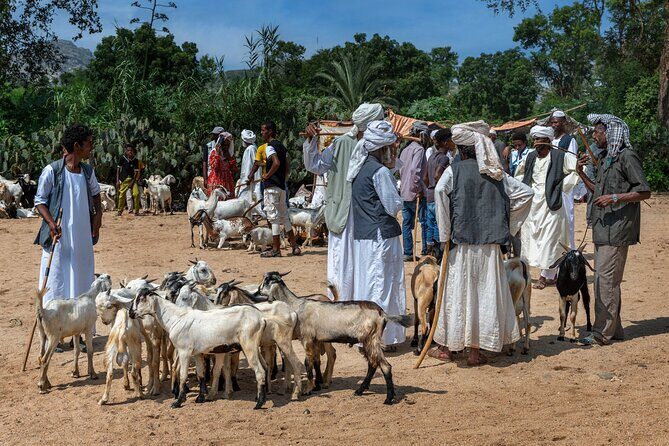 8 Days in Eritrea Asmara Ancient Sites and Red Sea Paradise - Why This Tour Offers Great Value