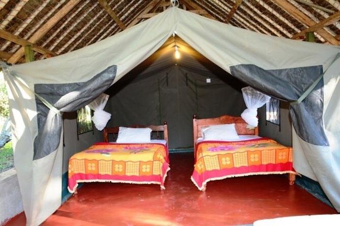 8 days Kenya and Tanzania private lodging safari from Nairobi - Exploring Lake Manyara and Beyond