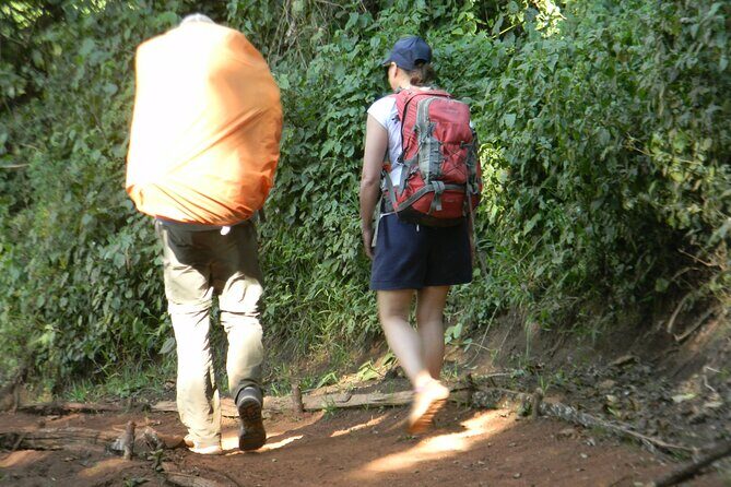 8 Days Kilimanjaro Climbing tour via the Lemosho Route - Who Is This Tour Best For?