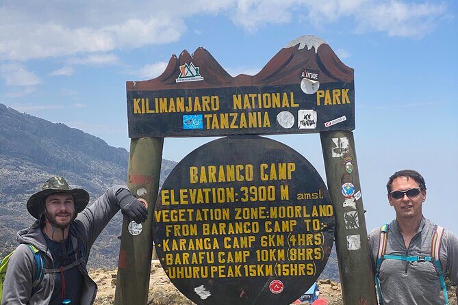 8 Days Lemosho Route - Day 8: Descent and Celebration