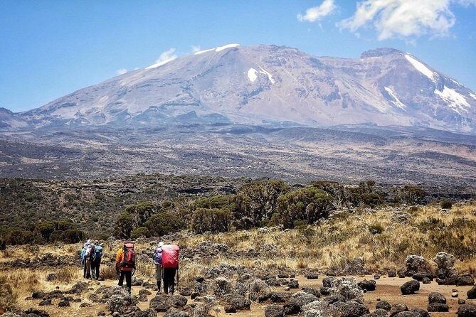 8 Days Lemosho Route Kilimanjaro Trekking - An In-Depth Look at the 8 Days Lemosho Route  