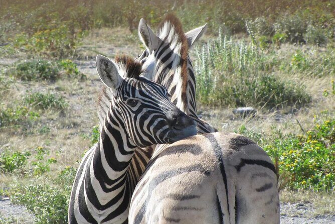 8 Days Mighty Zambezi Expediton in Victoria Falls & Hwange Safari - What’s Included and What’s Not