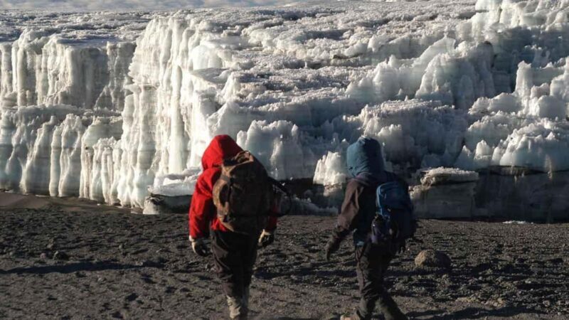 8-Days Mount Kilimanjaro Lemosho Route Trekking Tour. - An In-Depth Look at the Kilimanjaro Lemosho Route Experience