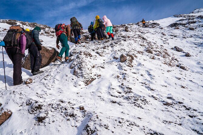 8 Days Mountain Kilimanjaro Lemosho Route - Final Thoughts