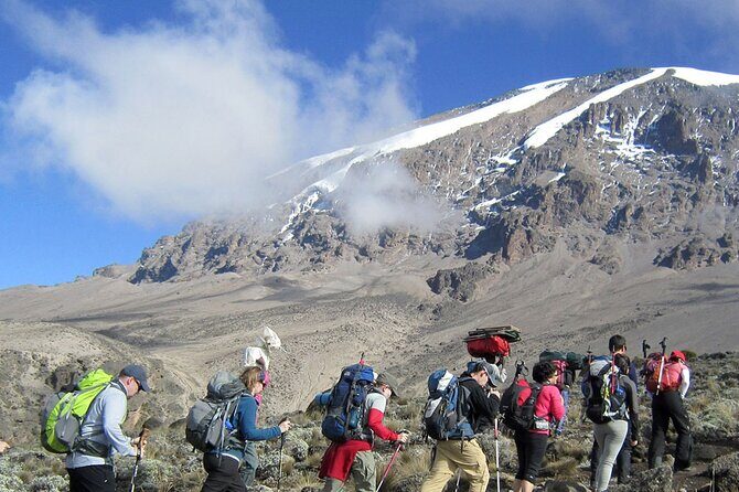 8 Days Mt Kilimanjaro Climb - Lemosho Route - The Company and Its Promise