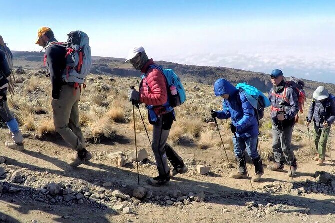 8 Days Mt Kilimanjaro Climb - Lemosho Route - Guides and Support