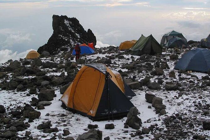 8 Days Mt Kilimanjaro Climb - Lemosho Route - Price and Value