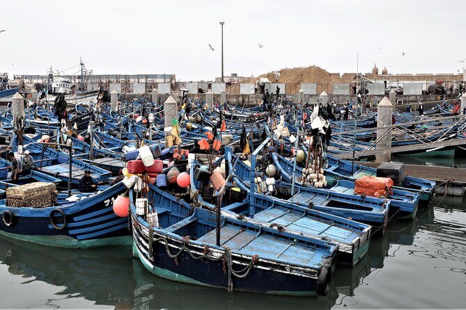 8 Days Private Morocco Adventure with Pick Up - 8 Days Private Morocco Adventure with Pick Up: An Honest Review