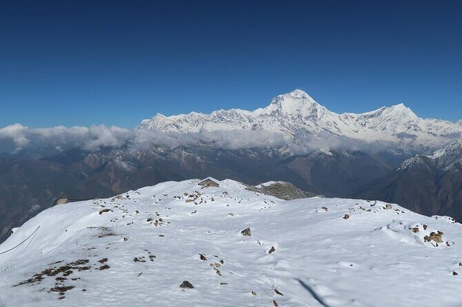 8 Days Private Pokhara Trekking to Khopra Hill - Key Points