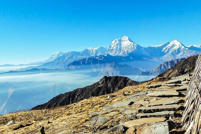 8 Days Private Pokhara Trekking to Khopra Hill - Practical Aspects and Value