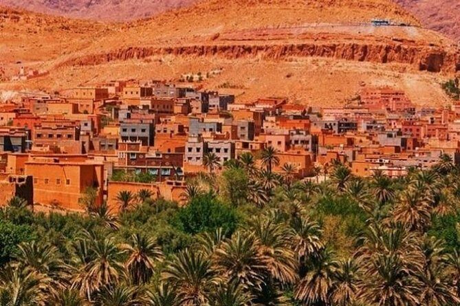 8-Days Private Tour Luxury to Fez via Desert from Marrakech & transfers airport - Who Should Consider This Tour?