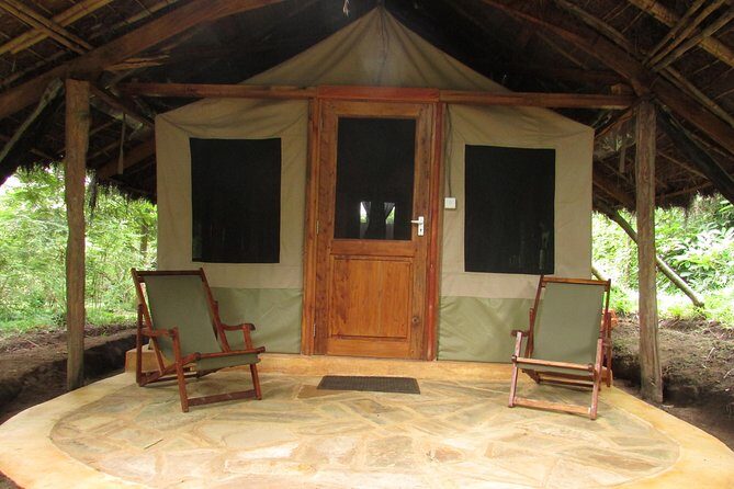 8 Days Safari to Mikumi, Ruaha & Udzungwa Mountains - Who Is This Tour Best For?