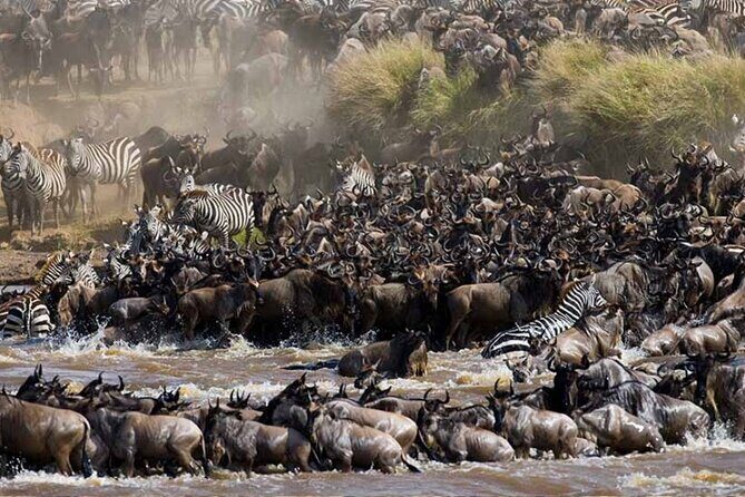 8 Days Tanzania Lodge Safari | Semi Luxury . - Final Thoughts  