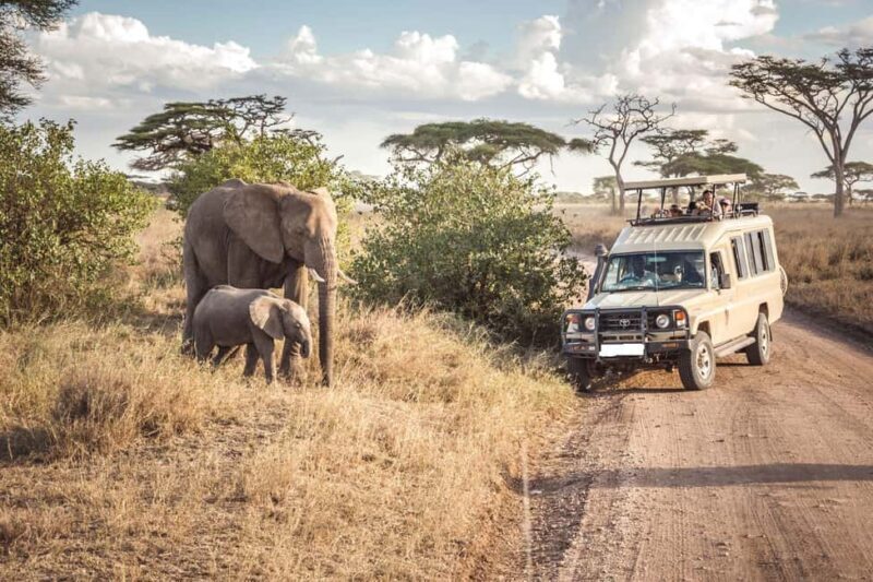 8 Days Tanzania serengeti wildebeest migration Safari - FAQs