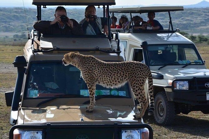 8 Days Tanzania Wildlife Safari Experience - The Sum Up: Who Should Book This Tour?