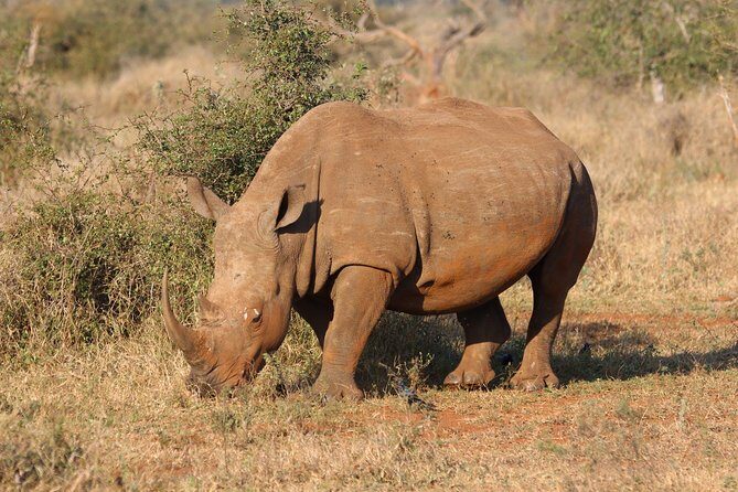 8 days Uganda Primate & Wildlife safari tour - Final Thoughts