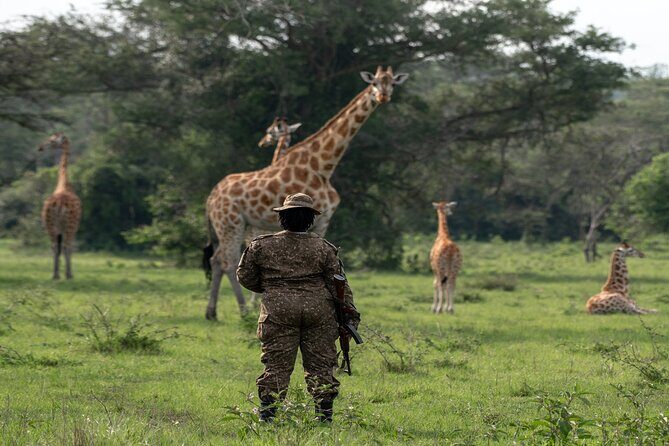 8 Days Uganda Primates Safari - Introduction: What You Can Expect from this Safari