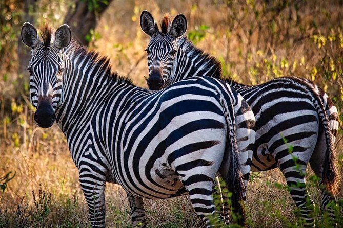 8 Days Uganda Primates Safari - Final Thoughts: Who Will Love This Safari?
