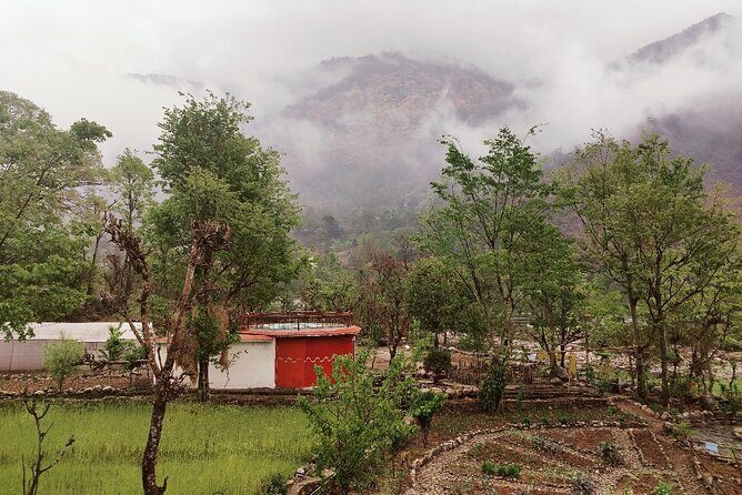 8 days Yoga and Trekking Retreat in the Indian Himalayas - Why This Retreat Might Be Perfect for You