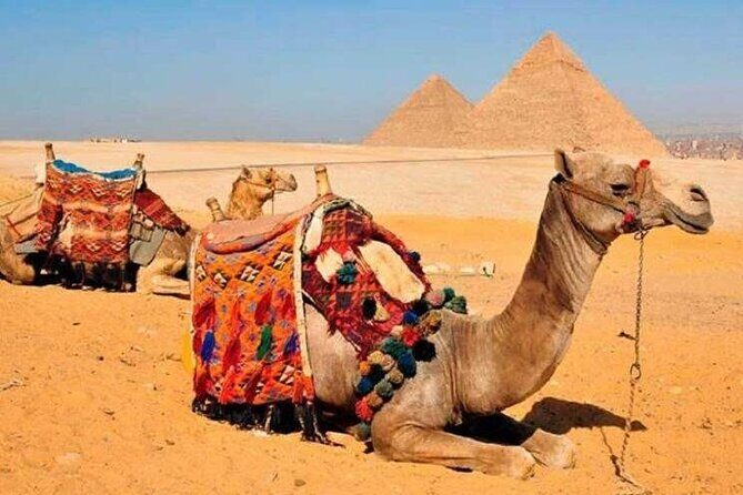 8 Days,Cairo,Alexandria,Aswan,Luxor,Cruise, Abu Simbel,From Cairo By Plane - Day-by-Day Breakdown: What You’ll Experience