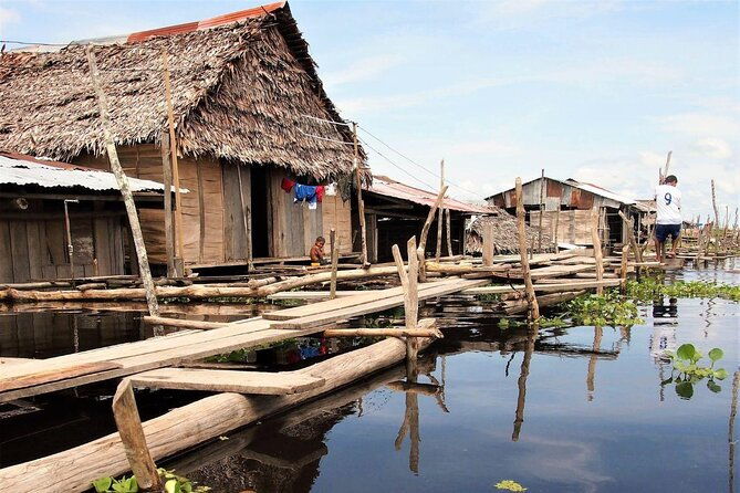 8-hour-amazonas-jungle-treck-anavilhanas-archipelago