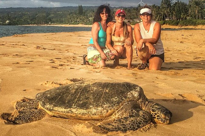 8-hour-circle-island-jeep-tour