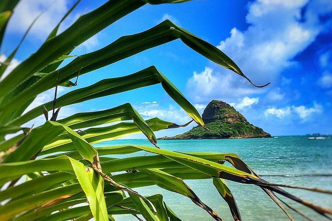 8-hour-circle-island-jeep-tour