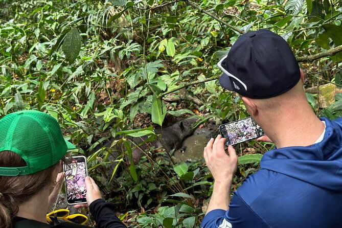 8-hour-experience-in-corcovado-national-park